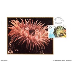 AUXP2-0111-POISSON-CARTE-MAXIMUM - ACTINIA EQUINA