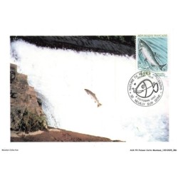 AUXP2-0098-POISSON-CARTE-MAXIMUM - SAUMON