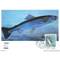 AUXP2-0109-POISSON-CARTE-MAXIMUM - SALMO SOLAR - SAUMON