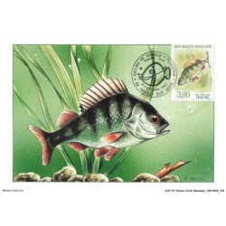 AUXP2-0107-POISSON-CARTE-MAXIMUM - PERCA FLUVIATILIS - PERCHE
