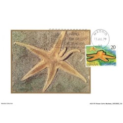 AUXP2-0113-POISSON-CARTE-MAXIMUM - ESTRELLA DE MAR