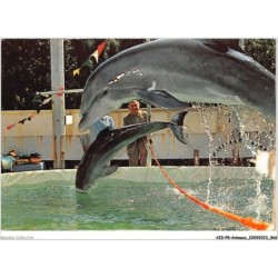 AIDP8-ANIMAUX-0716 - les célèbres dauphins de jean richard et du capitaine richard decker