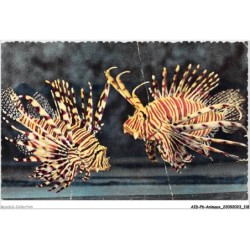 AIDP6-ANIMAUX-0536 - aquarium de monaco - pterois volitans