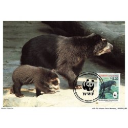 AUXP3-0143-ANIMAUX-CARTE-MAXIMUM - SPECTACLED BEAR