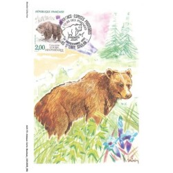 AUXP3-0145-ANIMAUX-CARTE-MAXIMUM - L'OURS DES PYRENEES