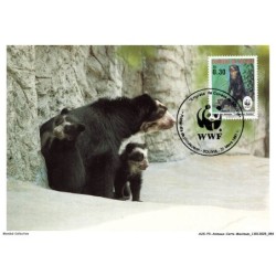 AUXP3-0144-ANIMAUX-CARTE-MAXIMUM - SPECTACLED BEAR