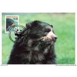 AUXP3-0142-ANIMAUX-CARTE-MAXIMUM - SPECTACLED BEAR