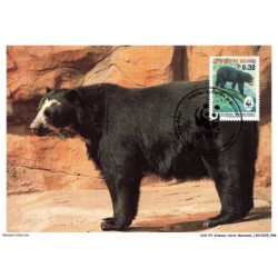 AUXP3-0141-ANIMAUX-CARTE-MAXIMUM - SPECTACLED BEAR