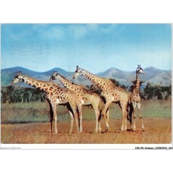 AIDP8-ANIMAUX-0765 - un siècle après livingstone - basutoland - girafes