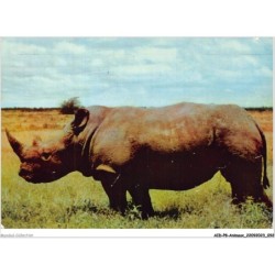 AIDP8-ANIMAUX-0729 - kenya - rhinocéros