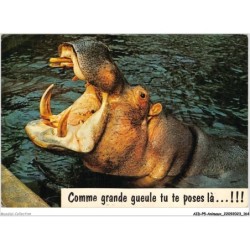 AIDP5-ANIMAUX-0467 - comme grande gueule tu te poses lâ
