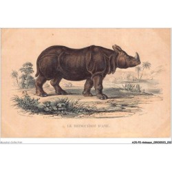 AJKP2-0120 - ANIMAUX - LE RHINOCEROS D'ASIE