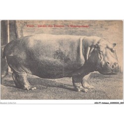 AIDP7-ANIMAUX-0586 - paris - jardin des plantes - l'hippopatame