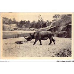 AJKP2-0133 - ANIMAUX - RHINOCEROS
