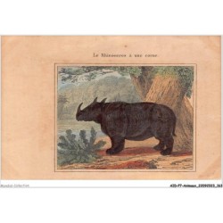 AIDP7-ANIMAUX-0663 - le rhinoceros â une corne