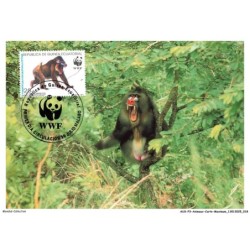 AUXP3-0126-ANIMAUX-CARTE-MAXIMUM - MANDRILL
