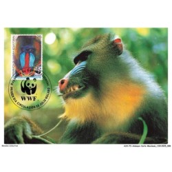 AUXP3-0121-ANIMAUX-CARTE-MAXIMUM - MANDRILL