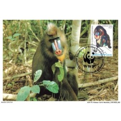 AUXP3-0118-ANIMAUX-CARTE-MAXIMUM - MANDRILL