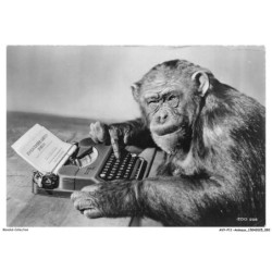 AVYP11-0748-ANIMAUX - Singe