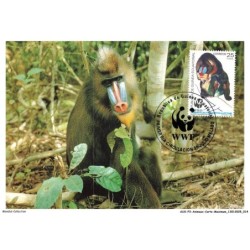 AUXP3-0124-ANIMAUX-CARTE-MAXIMUM - MANDRILL