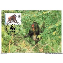 AUXP3-0120-ANIMAUX-CARTE-MAXIMUM - MANDRILL