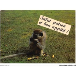 AIDP9-ANIMAUX-0825 - salut patron et bon appétit