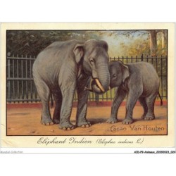 AIDP9-ANIMAUX-0817 - éléphant indien