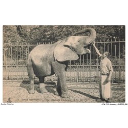 AVWP12-0691-ANIMAUX - Jardin des plantes - Toby éléphant d'afrique