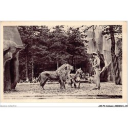 AJKP2-0184 - ANIMAUX - JARDIN ZOOLOGIQUE DE VINCENNES - LION ET LIONNE AU TRAVAIL