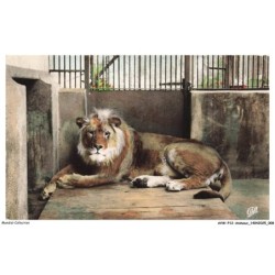 AVWP12-0652-ANIMAUX - Lyon - Parc de la tete d'or - Brutus le lion du parc