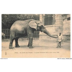 AVWP12-0692-ANIMAUX - Paris - Au jardin des plantes - Le grand eléphant saib et son cornac neff