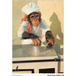 AIDP9-ANIMAUX-0824 - singes et cuisines