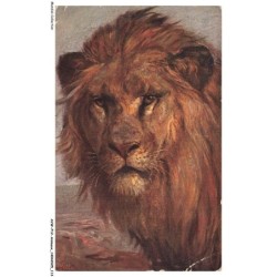 AVWP12-0704-ANIMAUX - Lion