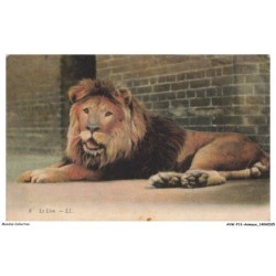 AVWP13-0714-ANIMAUX - Lion