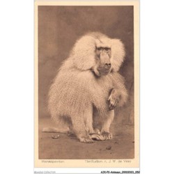 AJKP2-0140 - ANIMAUX - MANFELPAVIAN