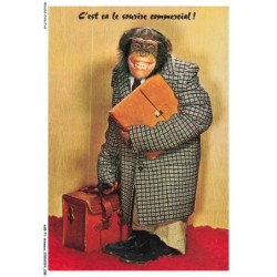 ASBP1-0005-ANIMAUX - SINGE - C'EST CA LE SOURIRE COMMERCIAL