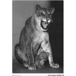 AJXP9-0969 - ANIMAUX - Une lionne et son petit
