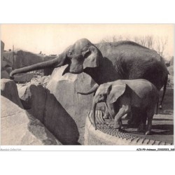 AJXP9-0971 - ANIMAUX - Un elephant d'asie femelle et micheline - jeune elephant d'afrique