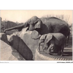 AJXP9-0968 - ANIMAUX - Un elephant d'asie femelle et micheline - jeune elephant d'afrique