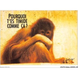 AJQP10-0998 - ANIMAUX - POURQUOI T'ES TIMIDE COMME CA