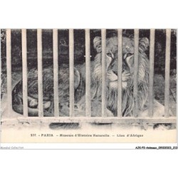 AJKP2-0220 - ANIMAUX - PARIS - MUSEUM D'HISTOIRE NATURELLE - LION D'AFRIQUE