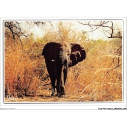 AJQP10-0974 - ANIMAUX - ELEPHANT SOLITAIRE
