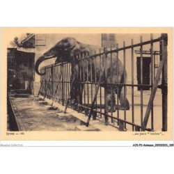 AJKP2-0213 - ANIMAUX - LYON - AU PARC - LOULOU