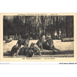 AJKP2-0237 - ANIMAUX - PARC ZOOLOGIQUE - LION ET LIONNES