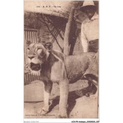 AJXP9-0941 - ANIMAUX - AOF - Un lion