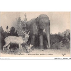 AJKP2-0227 - ANIMAUX - BOURGES - MUSEUM D'HISTOIRE NATURELLE - ELEPHANT