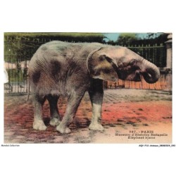 AQYP12-0732-ANIMAUX - PARIS - Museum d'histoire naturelle - Eléphant blanc