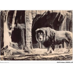 AIDP5-ANIMAUX-0468 - lion