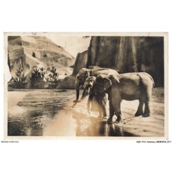 AQYP12-0719-ANIMAUX - Parc zoologique du bois de vincennes - PARIS - Le plateau des éléphants d'asie