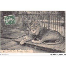 AIDP6-ANIMAUX-0491 - marseille - jardin zoologique - le lion